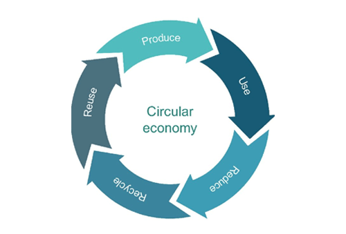 Circular Economic Assessment